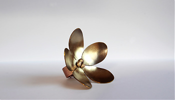 Vadrózsa gyűrű - Soha el nem hervadó fajta...